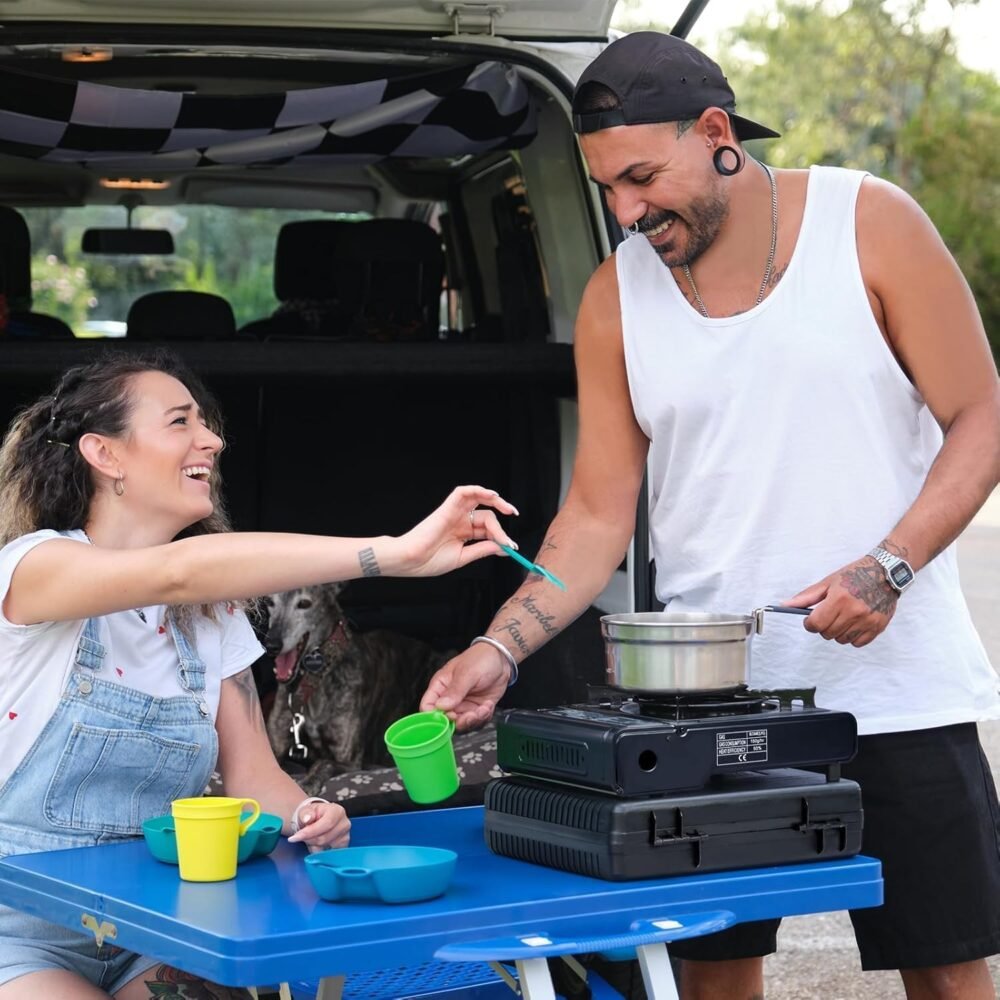 Camping Gas Stove with Briefcase