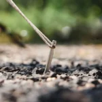 Naturehike V-shaped aluminium ground stake holding a tent guy line