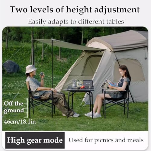 Naturehike Two-Gear Folding Chair (Dark Coffee)