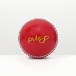 Puls8 Incredible Cricket Ball – Red Leather - view 2