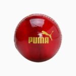 Puma Cricket Ball – Intense Red Leather - view 1