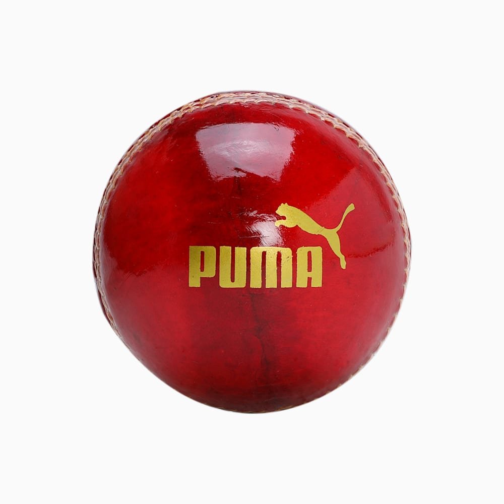 Puma Cricket Ball - Intense Red Leather