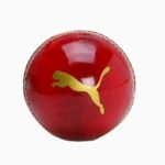 Puma Cricket Ball – Intense Red Leather - view 2