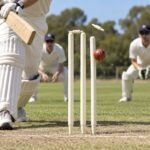 SCS Cricket Stump – 24 in White, Single - illustrative image, scene generated