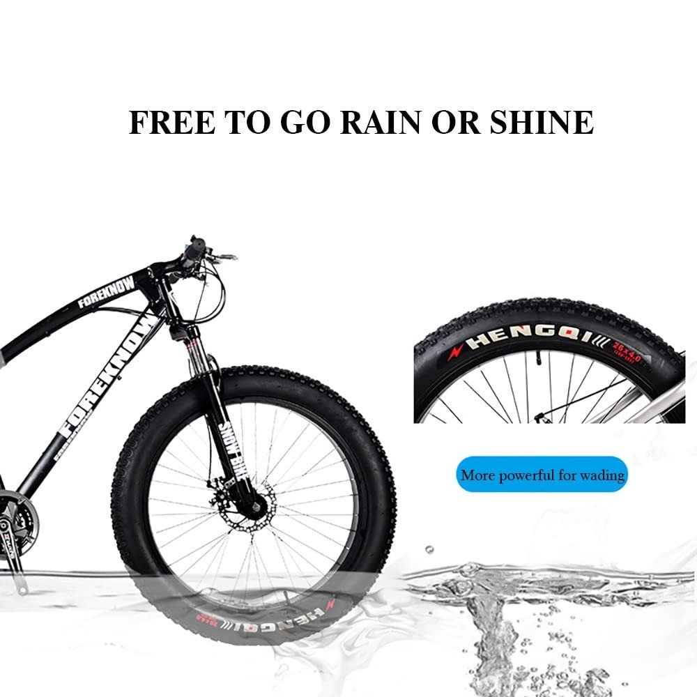 Fat Tire Mountain Trail Bike