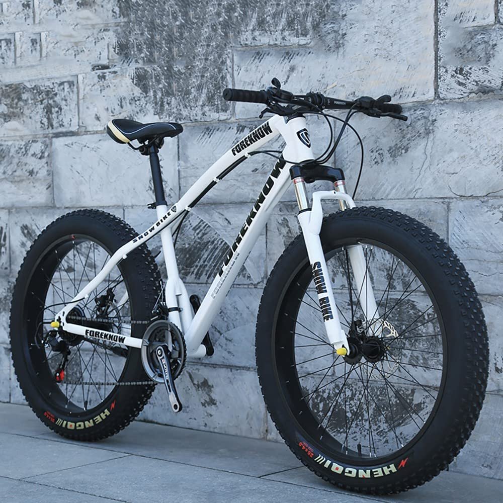 Fat Tire Mountain Trail Bike