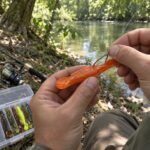 Silicone Frog Topwater Lure – 10.5 cm, 12 g - illustrative image, scene generated