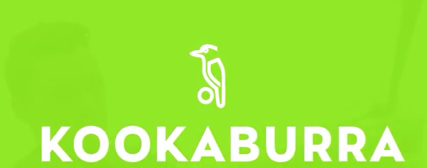 Kookaburra
